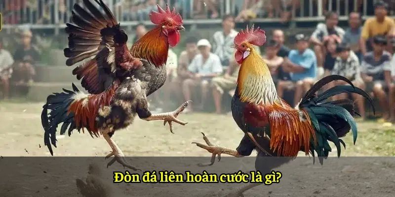 Đòn đá liên hoàn cước là gì?