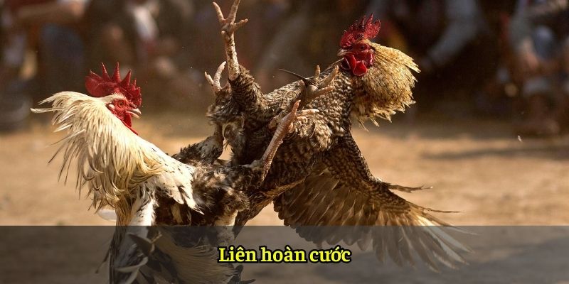 Liên hoàn cước