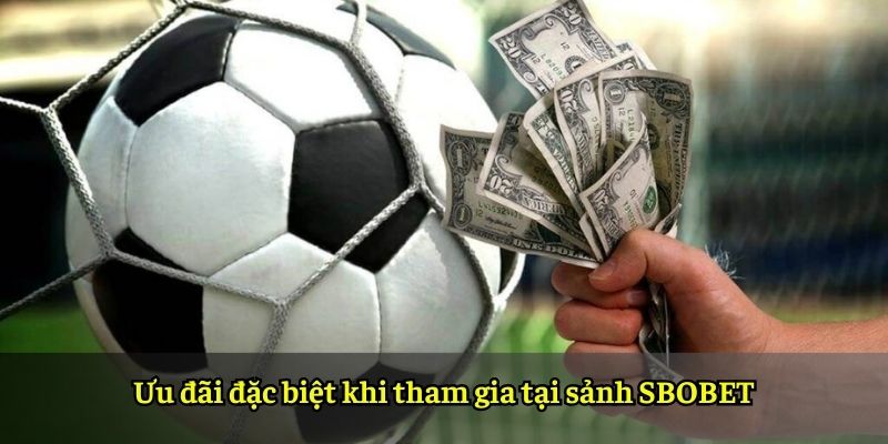 Ưu đãi đặc biệt khi tham gia tại sảnh SBOBET