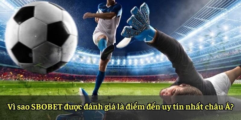 Vì sao SBOBET được đánh giá là điểm đến uy tín nhất châu Á?