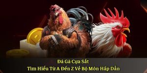 Đá Gà Cựa Sắt – Tìm Hiểu Từ A Đến Z Về Bộ Môn Hấp Dẫn