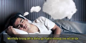 Mơ thấy trúng đề là điềm gì? Gợi ý những con số tài lộc